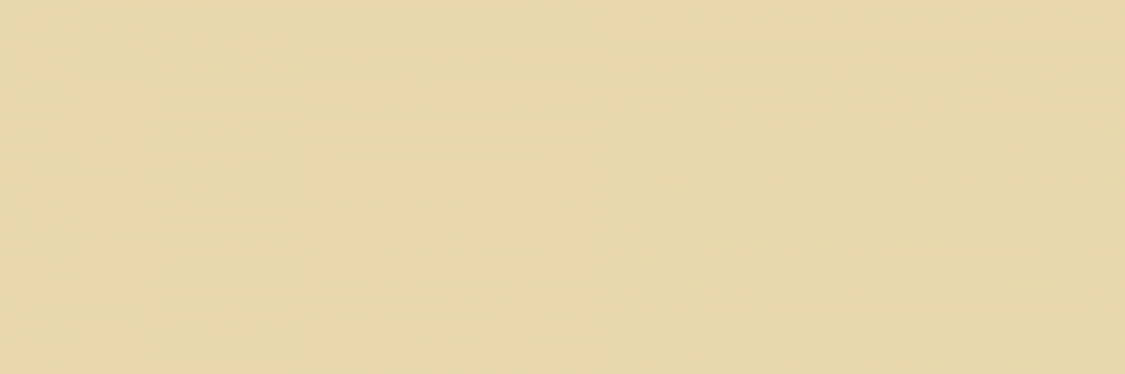 White XT 360x120